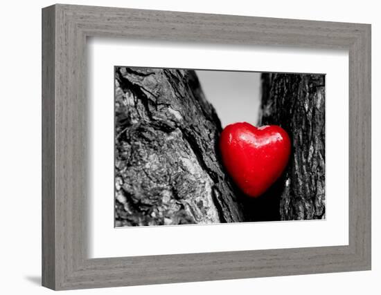 Red Heart in a Tree Trunk. Romantic Symbol of Love, Valentine's Day. Black and White with Red.-Michal Bednarek-Framed Photographic Print