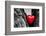 Red Heart in a Tree Trunk. Romantic Symbol of Love, Valentine's Day. Black and White with Red.-Michal Bednarek-Framed Photographic Print