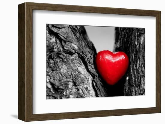 Red Heart in a Tree Trunk. Romantic Symbol of Love, Valentine's Day. Black and White with Red.-Michal Bednarek-Framed Photographic Print