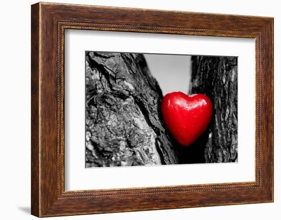 Red Heart in a Tree Trunk. Romantic Symbol of Love, Valentine's Day. Black and White with Red.-Michal Bednarek-Framed Photographic Print