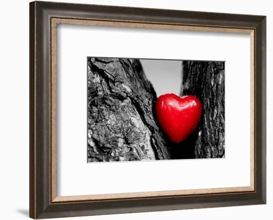 Red Heart in a Tree Trunk. Romantic Symbol of Love, Valentine's Day. Black and White with Red.-Michal Bednarek-Framed Photographic Print