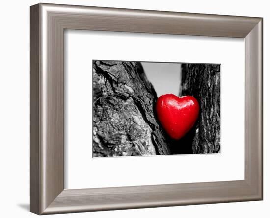 Red Heart in a Tree Trunk. Romantic Symbol of Love, Valentine's Day. Black and White with Red.-Michal Bednarek-Framed Photographic Print