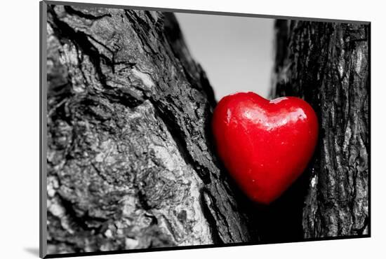 Red Heart in a Tree Trunk. Romantic Symbol of Love, Valentine's Day. Black and White with Red.-Michal Bednarek-Mounted Photographic Print
