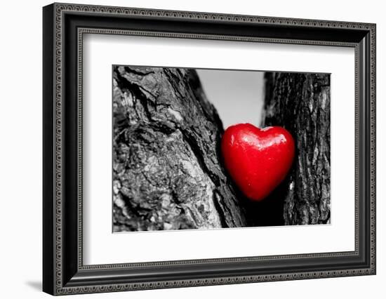 Red Heart in a Tree Trunk. Romantic Symbol of Love, Valentine's Day. Black and White with Red.-Michal Bednarek-Framed Photographic Print