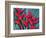 Red Heliconia Flowers-Darrell Gulin-Framed Photographic Print