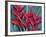 Red Heliconia Flowers-Darrell Gulin-Framed Photographic Print