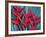 Red Heliconia Flowers-Darrell Gulin-Framed Photographic Print