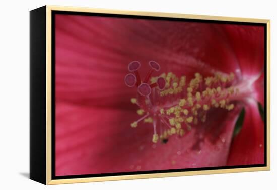 Red Hibiscus Abstract-Anna Miller-Framed Premier Image Canvas