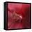 Red Hibiscus Abstract-Anna Miller-Framed Premier Image Canvas