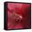 Red Hibiscus Abstract-Anna Miller-Framed Premier Image Canvas