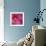 Red Hibiscus Abstract-Anna Miller-Framed Photographic Print displayed on a wall