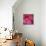 Red Hibiscus Abstract-Anna Miller-Mounted Photographic Print displayed on a wall