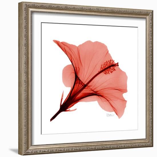 Red Hibiscus-Albert Koetsier-Framed Premium Giclee Print