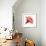 Red Hibiscus-Albert Koetsier-Framed Premium Giclee Print displayed on a wall