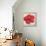 Red Hibiscus-Patricia Pinto-Framed Stretched Canvas displayed on a wall