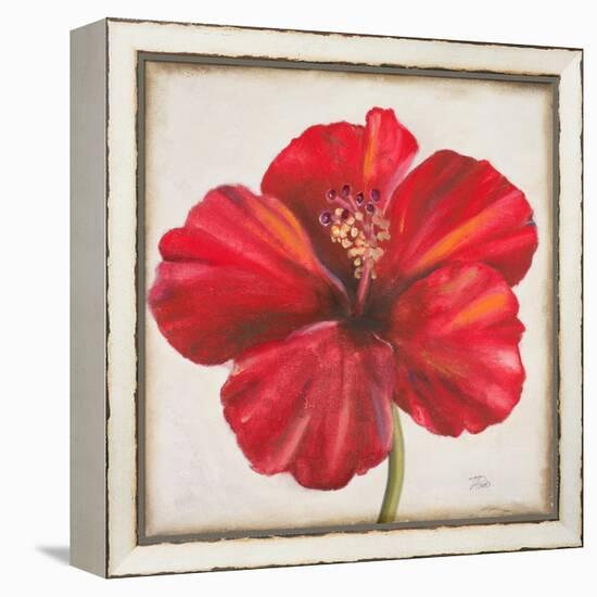 Red Hibiscus-Patricia Pinto-Framed Stretched Canvas