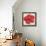 Red Hibiscus-Patricia Pinto-Framed Stretched Canvas displayed on a wall