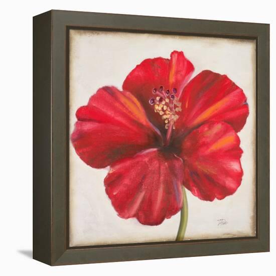 Red Hibiscus-Patricia Pinto-Framed Stretched Canvas