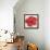 Red Hibiscus-Patricia Pinto-Framed Stretched Canvas displayed on a wall