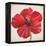 Red Hibiscus-Patricia Pinto-Framed Stretched Canvas