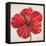 Red Hibiscus-Patricia Pinto-Framed Stretched Canvas