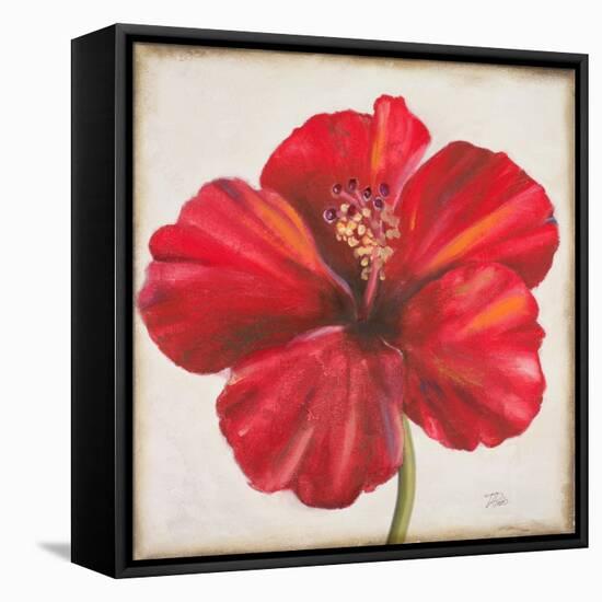 Red Hibiscus-Patricia Pinto-Framed Stretched Canvas