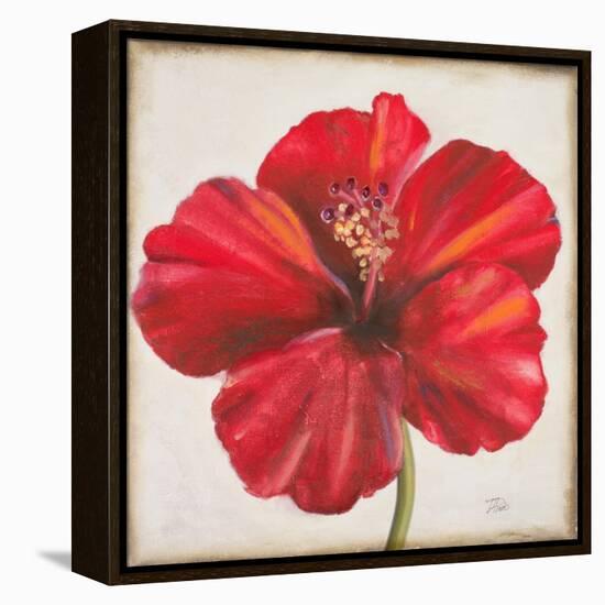 Red Hibiscus-Patricia Pinto-Framed Stretched Canvas