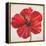 Red Hibiscus-Patricia Pinto-Framed Stretched Canvas