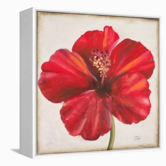 Red Hibiscus-Patricia Pinto-Framed Stretched Canvas