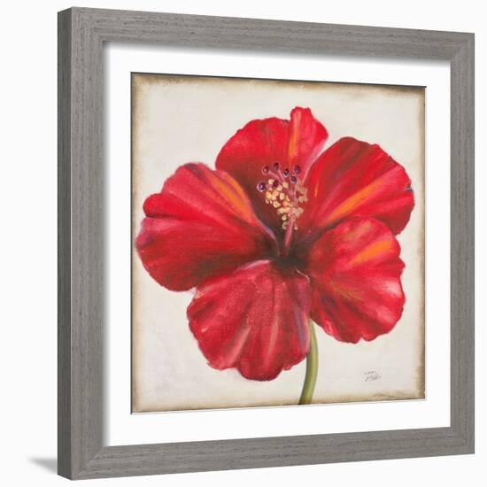 Red Hibiscus-Patricia Pinto-Framed Art Print