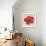 Red Hibiscus-Patricia Pinto-Framed Art Print displayed on a wall