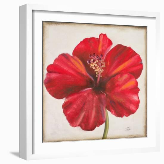 Red Hibiscus-Patricia Pinto-Framed Art Print