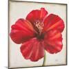 Red Hibiscus-Patricia Pinto-Mounted Art Print