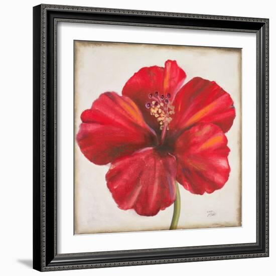 Red Hibiscus-Patricia Pinto-Framed Art Print