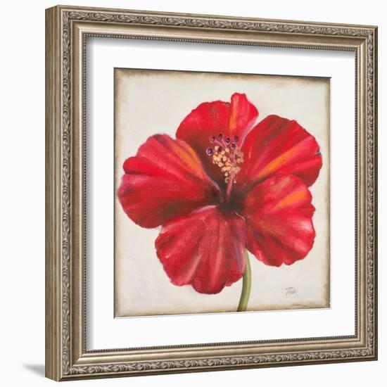 Red Hibiscus-Patricia Pinto-Framed Art Print