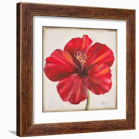 Red Hibiscus-Patricia Pinto-Framed Art Print