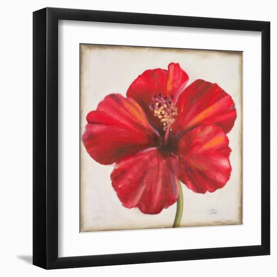 Red Hibiscus-Patricia Pinto-Framed Art Print