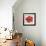 Red Hibiscus-Patricia Pinto-Framed Art Print displayed on a wall