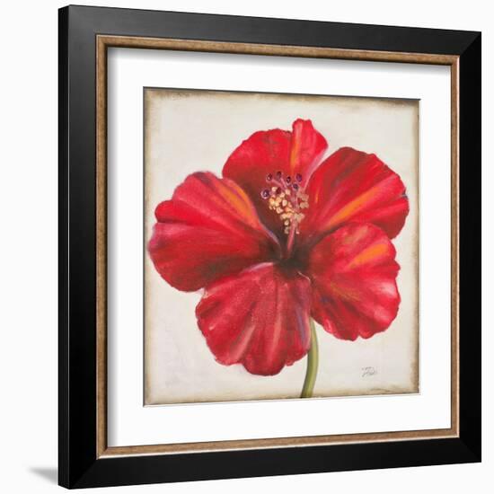 Red Hibiscus-Patricia Pinto-Framed Art Print