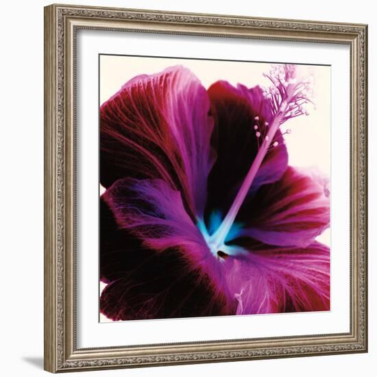 Red Hibiscus-Christine Caldwell-Framed Art Print