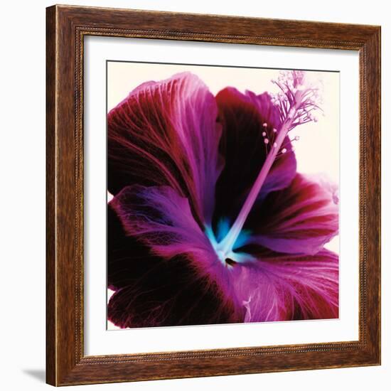 Red Hibiscus-Christine Caldwell-Framed Art Print