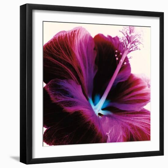 Red Hibiscus-Christine Caldwell-Framed Art Print