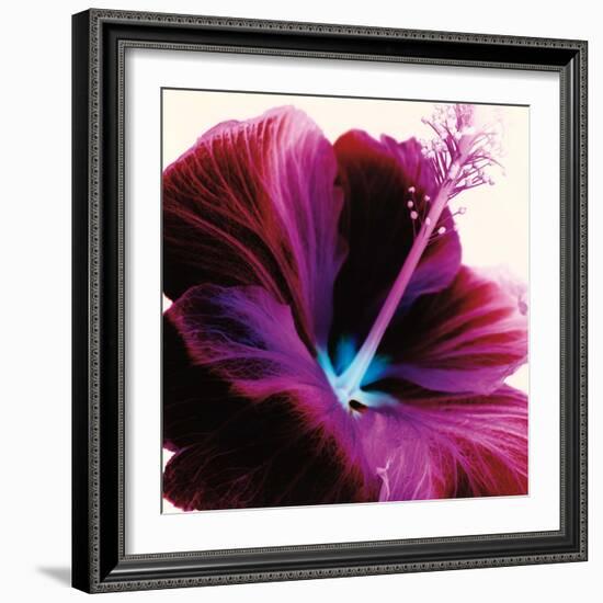 Red Hibiscus-Christine Caldwell-Framed Art Print