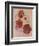 Red Hibiscus-Judy Mastrangelo-Framed Giclee Print