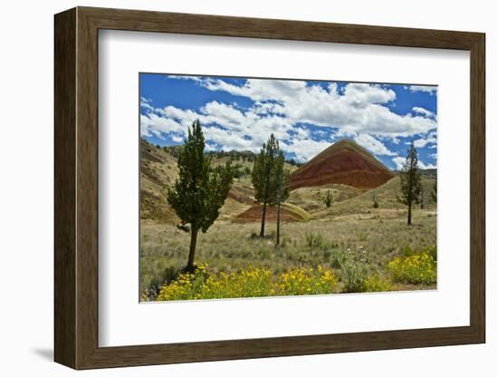 Red Hill, Painted Hills, Mitchell, Oregon, USA.-Michel Hersen-Framed Photographic Print