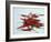 Red Hot Chillies on a White Sheet-Charcrit Boonsom-Framed Photographic Print