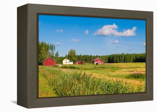 Red Houses in A Rural Landscape-nblx-Framed Premier Image Canvas