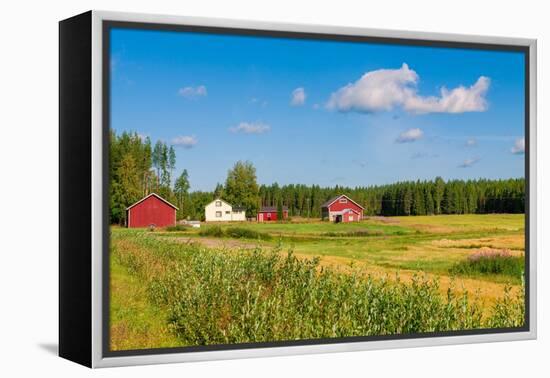 Red Houses in A Rural Landscape-nblx-Framed Premier Image Canvas