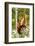 Red Howler Monkey (Alouatta Seniculus) With Peruvian Red Uakari Monkey (Cacajao Calvus Ucayalii)-Mark Bowler-Framed Photographic Print