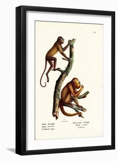 Red Howler Monkeys, 1824-Karl Joseph Brodtmann-Framed Giclee Print